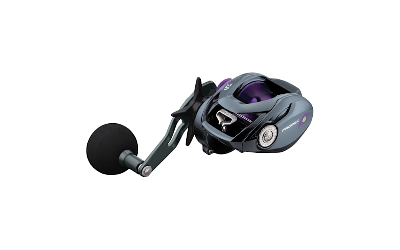 Daiwa® Prorex TW Baitcaster Reel | Bass Pro Shops Canada