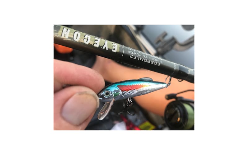 carrete shimano stella Shimano Stella SW C Spinning Reels