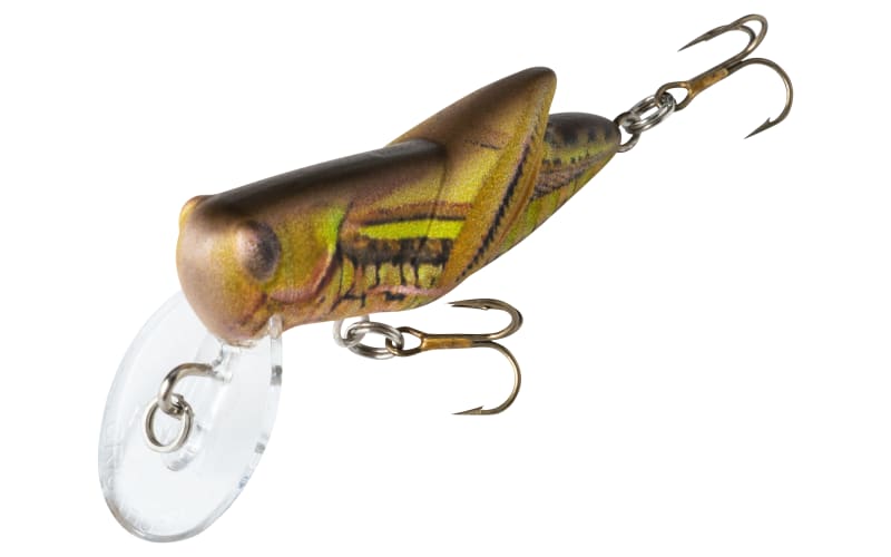 cricket lure fishing Rebel Crickhopper