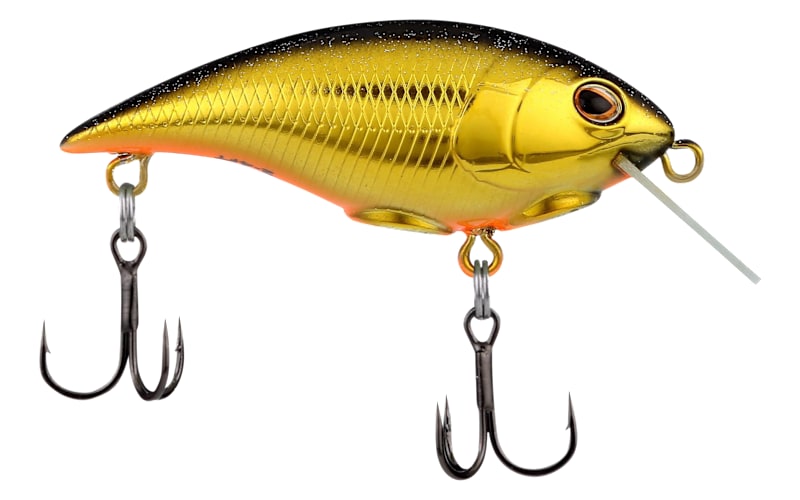 cara hack fishing hook Slurp Hooks for Carp, 25-Pack