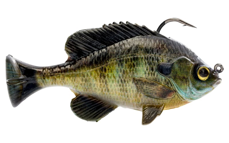 Savage Gear Pulse Tail RTF Bluegill Soft Bait | Tilapia; 3/8 oz. | FishUSA