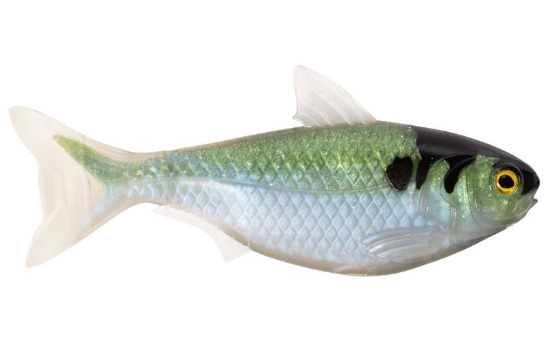 bass lures for the fall Fall Bass Fishing: The Season of Change  The Bass Cast