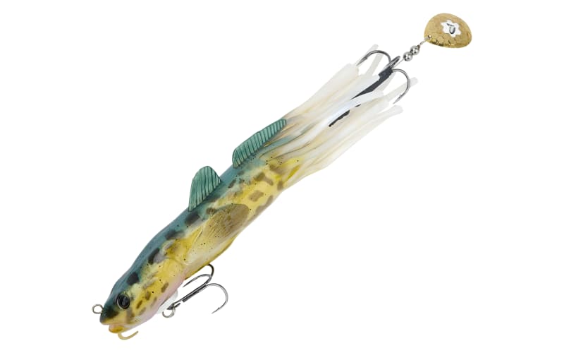 catching bullfrogs with fishing pole Bull Frogs Love YARN?! Frog vs. Yarn Fishing Challenge!!