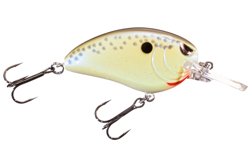 bass pro shop tiny crankbait lures SPRO Little John 50 MD Crankbait Cell Mate