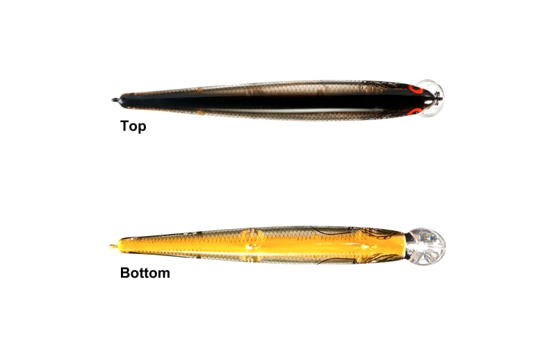 Bomber Deep Long A Fishing Lure : : Sports, Fitness & Outdoors