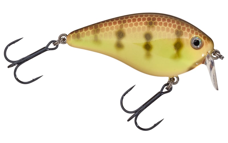 Strike King KVD 1.5 Shallow Runner | Bass Pro Shops
