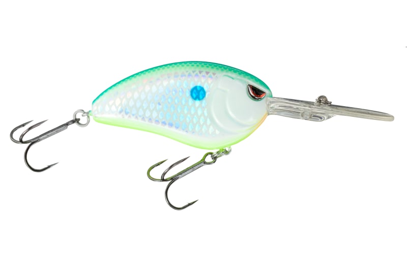 can you fish at lake lure Lake Lure Fishery Update