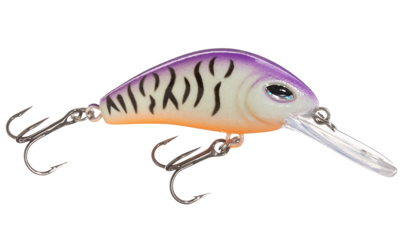 bass pro shop tiny crankbait lures Rebel Super Teeny R Even the most skittish fish cant resist our Bass Pro Shops Micro Medium Crankbait Bass Pro Shops XPS Square