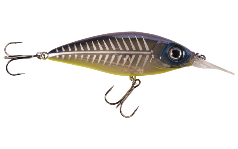 big fish 105 accessories 3 Waters Big Fish 105 Pedal Drive Fishing Kayak  Eco Fishing Shop