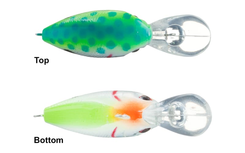 9 Pieces Fishing Lures Crankbait Freshwater Saltwater Hard Baits Diving  Topwater Floating Bass Lots 2024