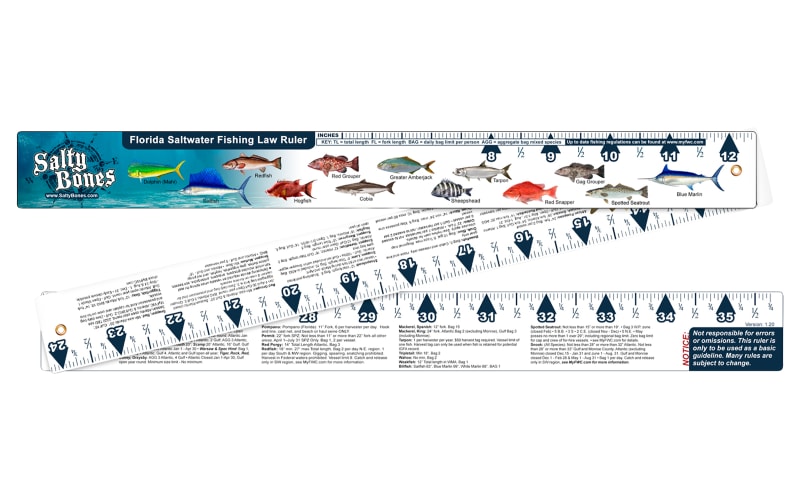 all shimano dc reels Shimano
