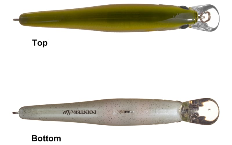 Lucky Craft Pointer SP Lure - 3" - MS American Shad | Bass Pro Shops