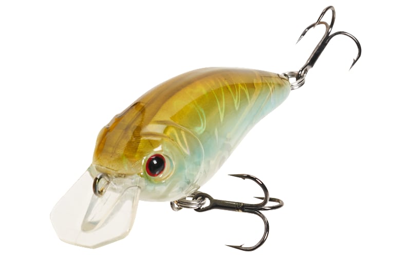 Hardcore Crankbaits S.O ルアー・フライ Crank MONSTERBASS – Squarebill 65F SR ルアー・フライ