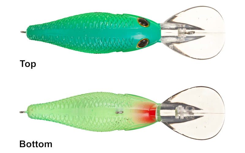 a Bass Pro Shops Tourney Special Crankbait