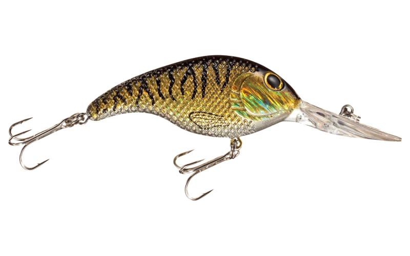 bass pro tourney special lures Bass Pro Shops Tourney Special Crankbait