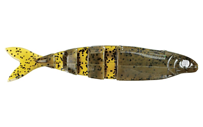 5.5 live magic shad fishing lure Lake Fork Trophy Lures Live Magic Shad