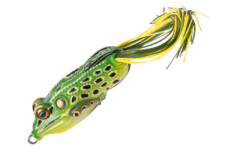 bass fishing lures for fall fishing Top lures for fall trophy bass