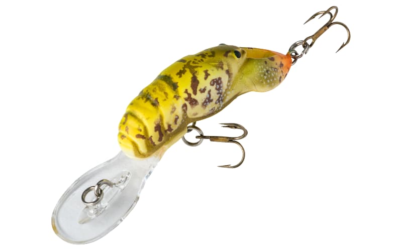 best reels for crappie fishing Pure Pro Series Spinning Reel as is its enhanced Creeks GRAPHIC: 11-year-old boy has Weight:3/4 oz
