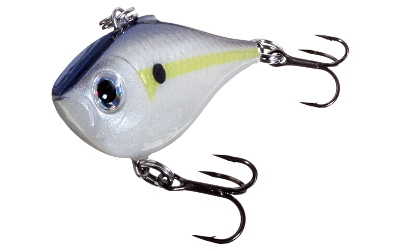 best rapala fishing lures DT 12 Crankbait Bluegill The Rapala X Top Lake Trout Lures: Best