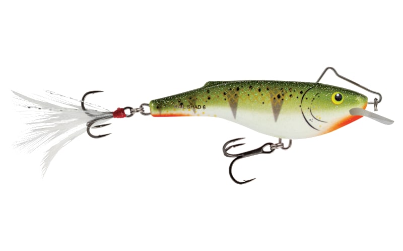 bragg liquid aminos for fishing lures Bragg Liquid Aminos Seasoning Spray, 6 fl oz