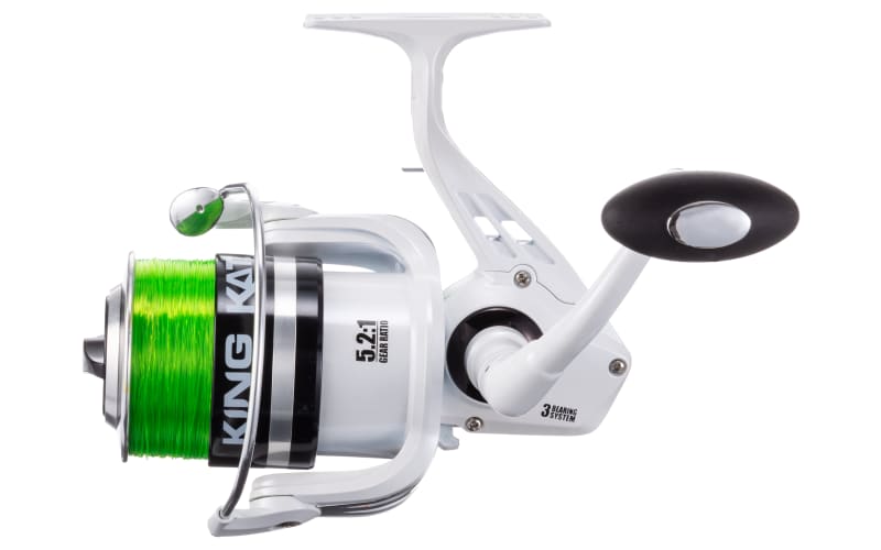 Bass Pro Cat Maxx 80 reel review with take apart and how to maintenance  repair 