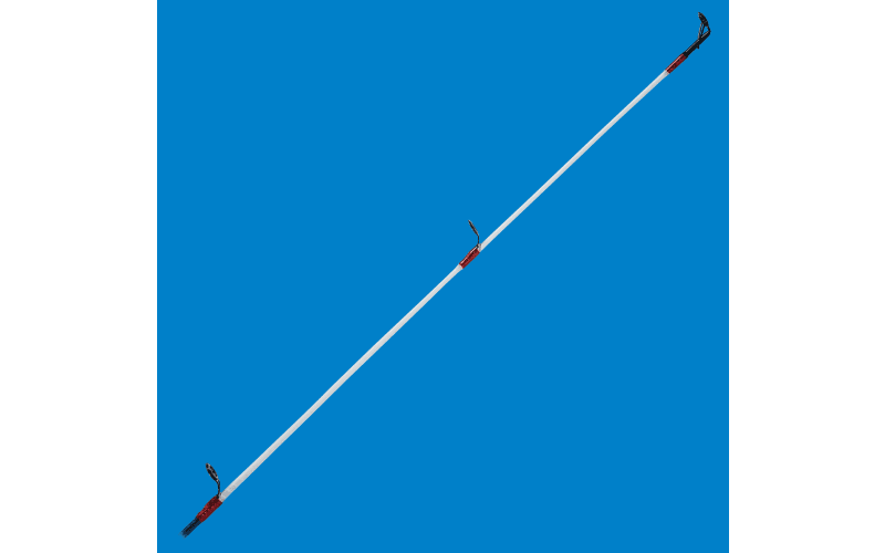 Bass Pro Shops® Whuppin' Stick Casting Rod