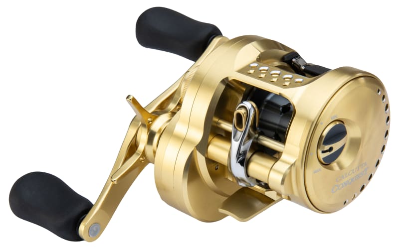 Amazon.com : Shimano 21 Calcutta Conquest 200 : Sports