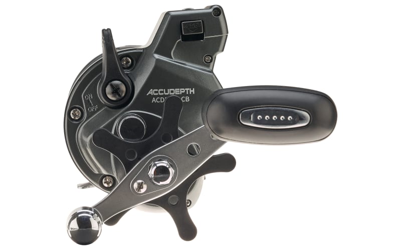 daiwa bg reel price Daiwa