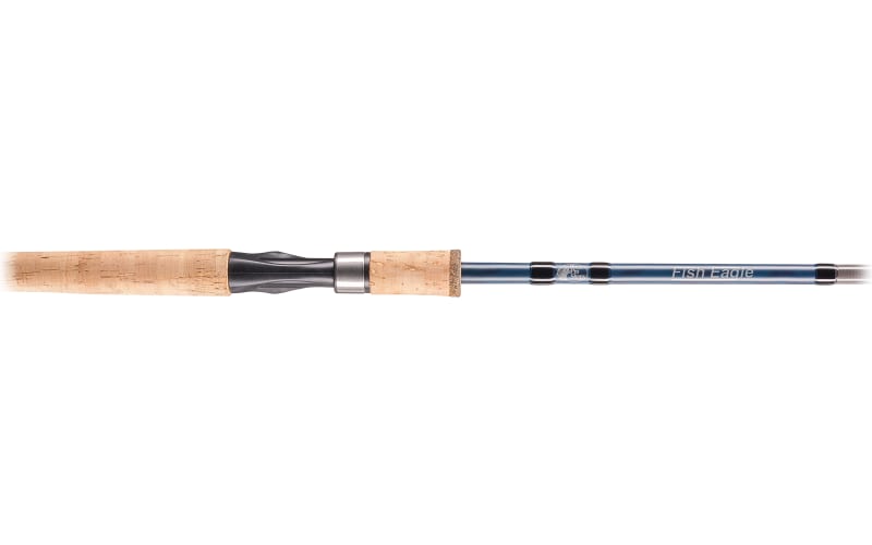 40-Inch Gag Grouper Fish Mount | King Sailfish Mounts