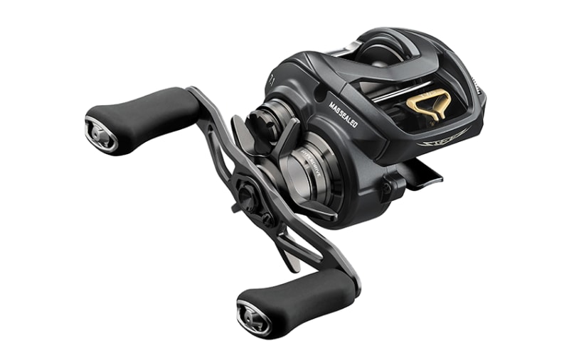 Daiwa Steez A 100 Casting Reel Right - 8.1:1