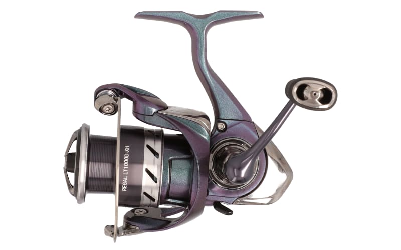  Daiwa Regal LT Spinning, 9 + 1, 5.6:1 (Clam Pack) : Sports &  Outdoors