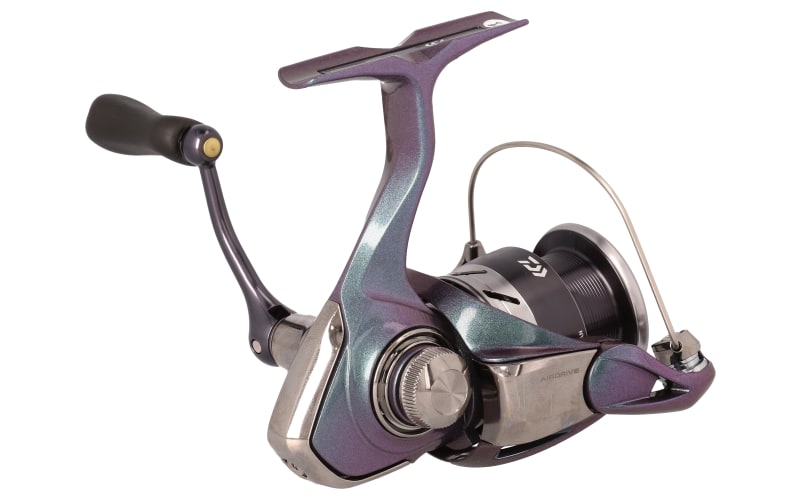 Daiwa regal on sale