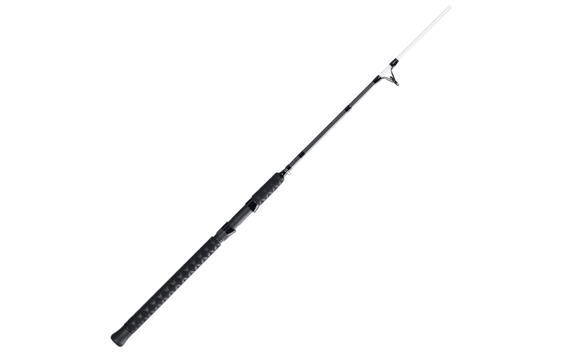bass pro shops catmaxx baitcast rod and reel combo Bass Pro Shops CatMaxx Spinning Combo - 70 - 10'