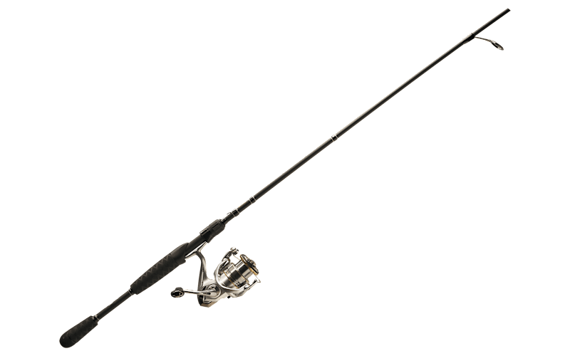 master1_101695539_main?pgw=1