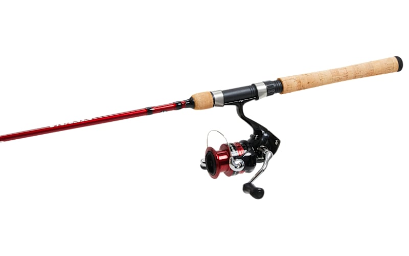 Shimano Sienna Spinning Combo | Bass Pro Shops