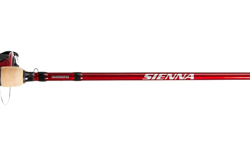 Shimano Sienna Spinning Combo | Bass Pro Shops