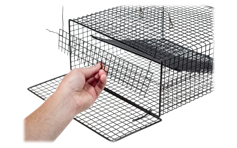 Good Price Square Fish Trap for Eel Crawfish and Flounder - China