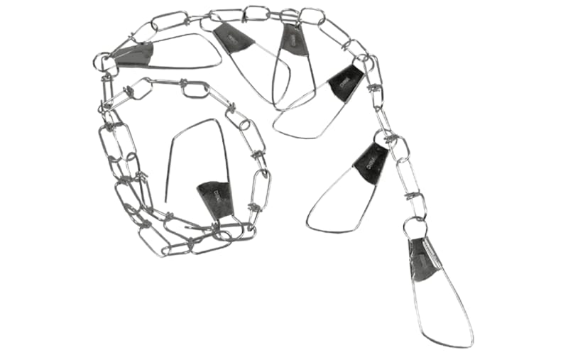 Bass Pro Shops® Deluxe Chain Fish Stringer - 60