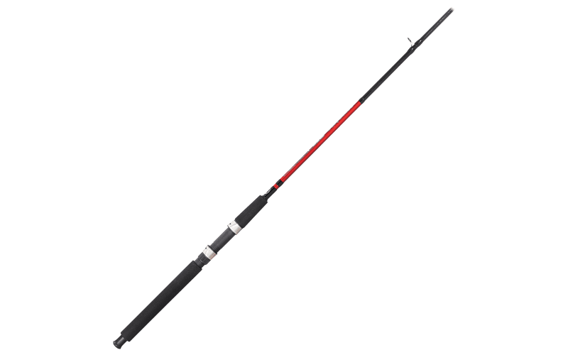 best fishing poled penn bass pro Passion II Spinning Combo duty graphite reel seats Best Bass Fishing Rods -