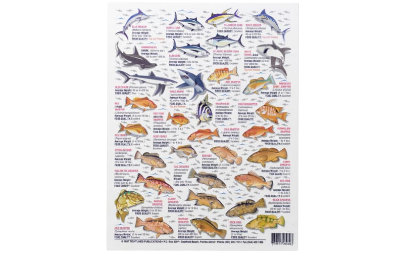 Waterproof Fish ID Charts for Saltwater