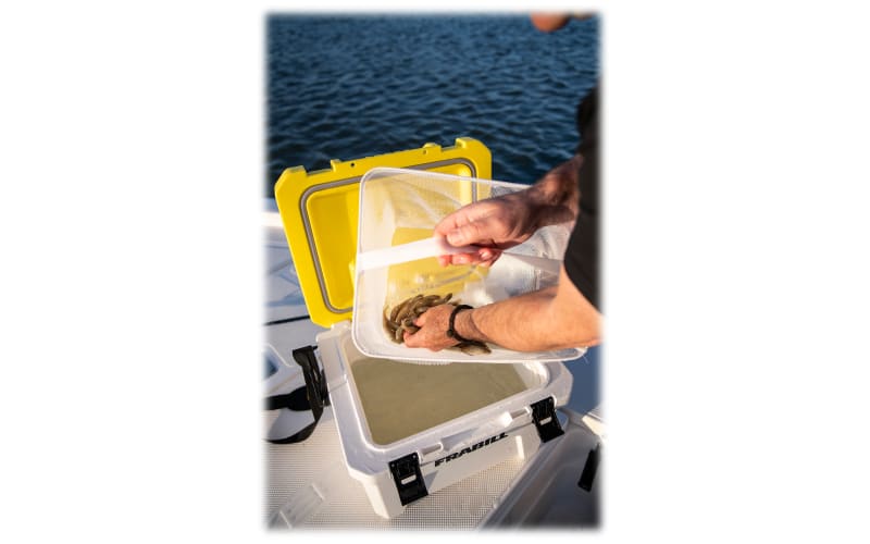 Magnum Bait Station 30 with Saltwater Experience. 