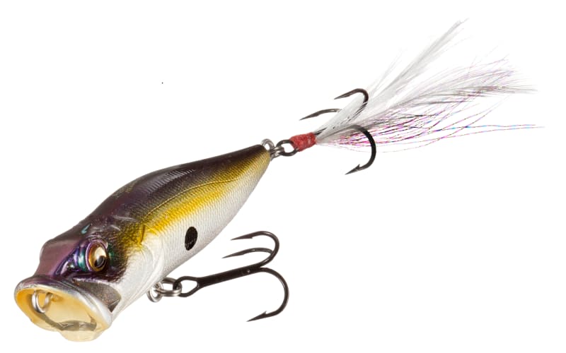 KEEP CAST LURE POPX メジロ Megabass Pop X Topwater Popper — Discount Tackle