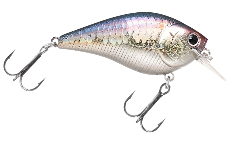 bass craft lures Premium Balsa Bait  CRANKBAITS POP N WALK Fishing Lure  BATEY SHAD it begins to move as soon as it comes into contact with water LUCKY CRAFT LC 2.5 Silent