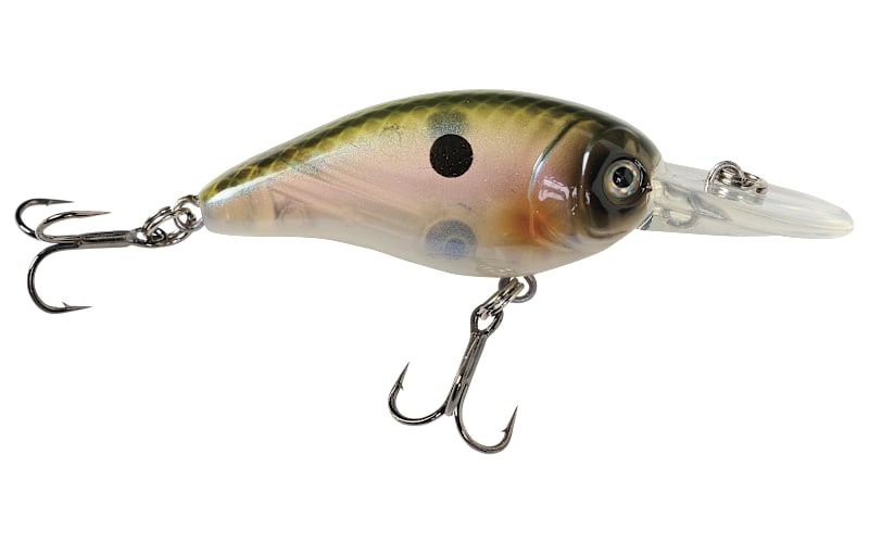 bass spawning lures Prespawn Tips and Tricks