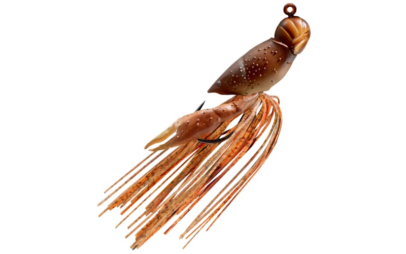 accessories in fish tank Essential Fish Aquarium Accessories: Complete Guide for Beginners