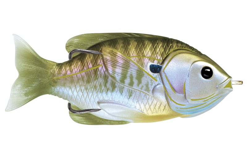 bast all around bass lure Three Go-To Baits for Targeting Bigger Bass this Summer