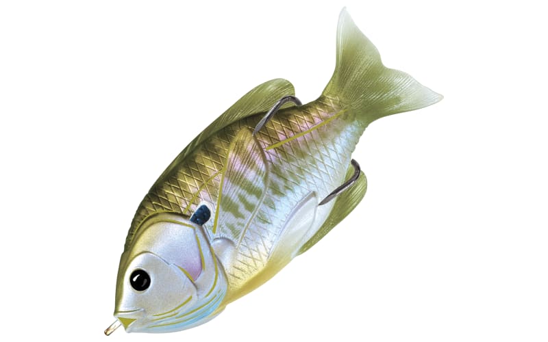 Leurre Souple LiveTarget Sunfish – 3 1/2 Pouces 1/2 Oz – Bleu Jaune – Brochet, Bass