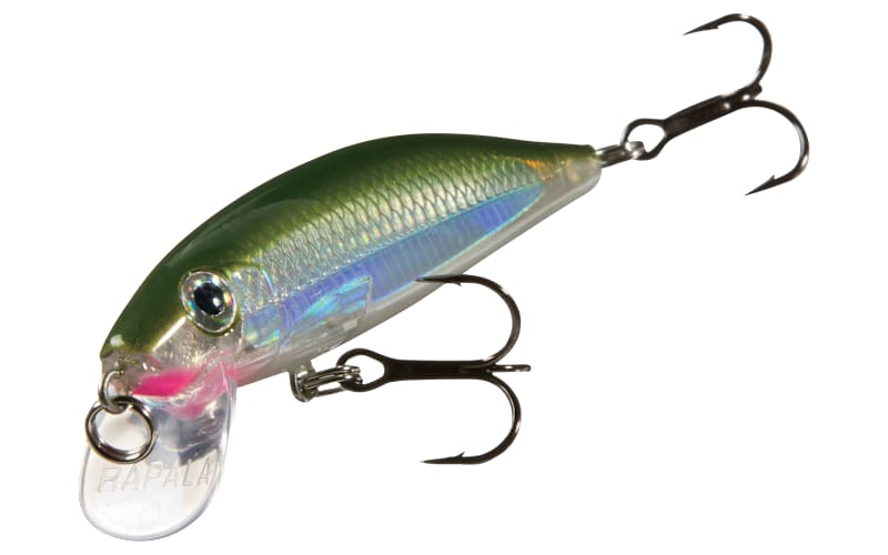 Rapala X-Rap CountDown | Bass Pro Shops