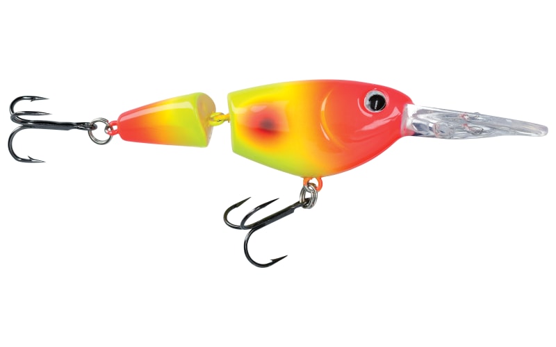 Bass Pro Shops - Matériel - , pêche sportive