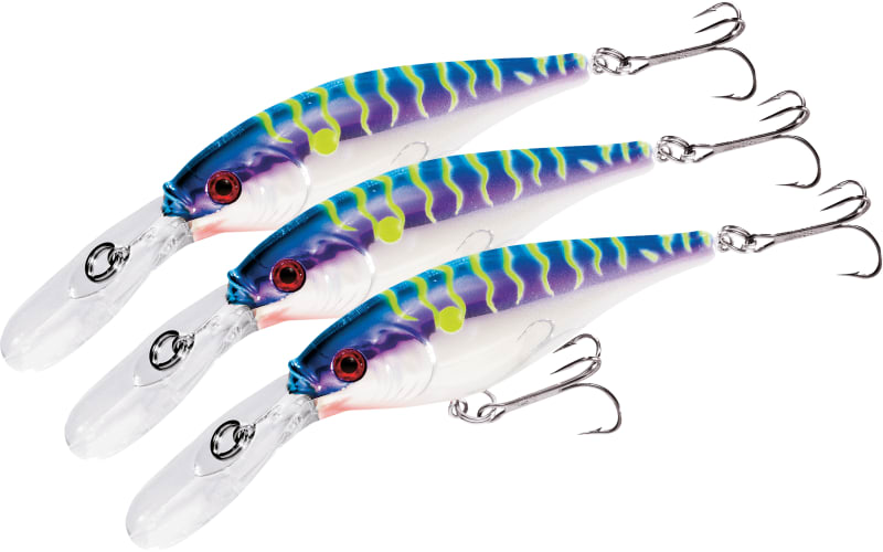 Berkley Flicker Shad Purple Cougar Pro Pack | Cabela's
